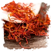 Saffron and the Reproductive system