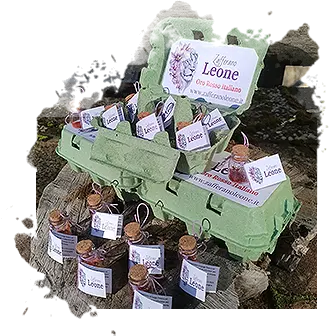 6 vial saffron gift/retail box